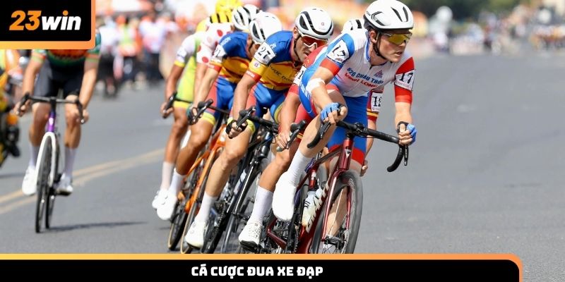 Chơi cá cược đua xe đạp và kinh nghiệm chơi cùng 23win