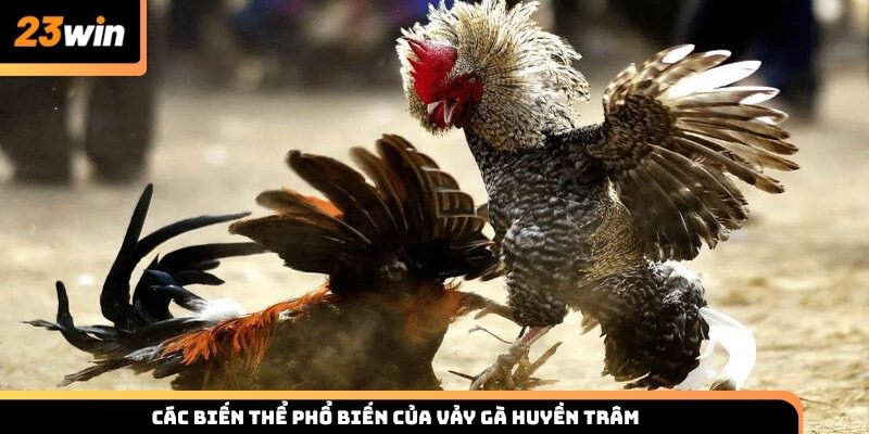 Các biến thể phổ biến của vảy gà Huyền Trâm