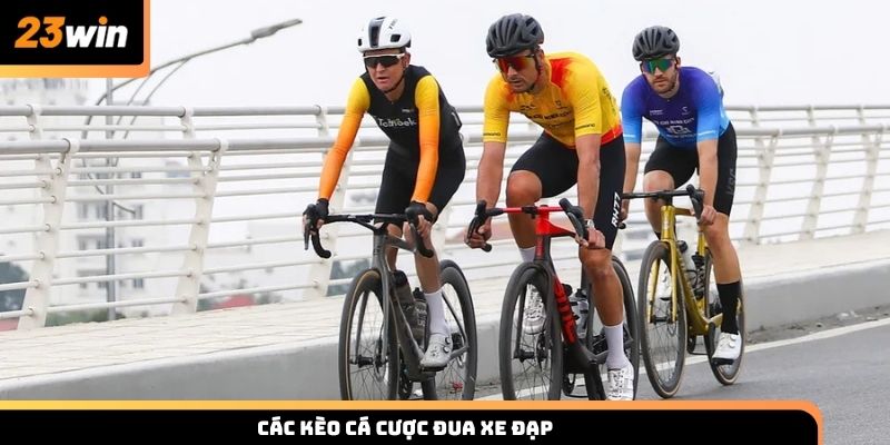 Các kèo dự đoán cá cược đua xe đạp kịch tính cho hội viên 23win
