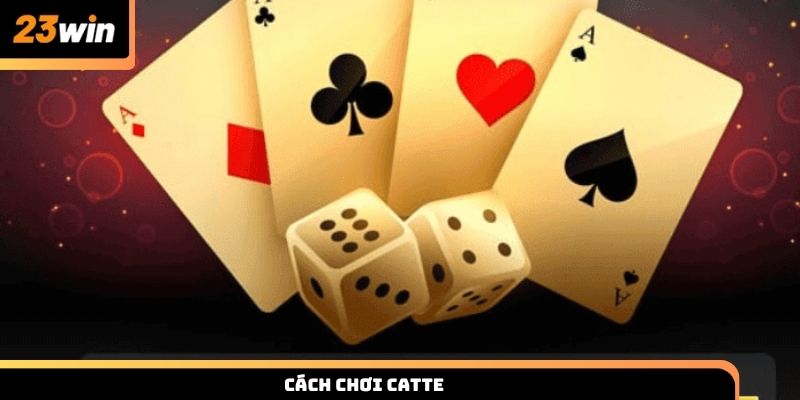 Cách chơi Catte cho người mới và bí quyết thắng lớn cùng 23win