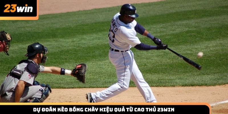 Dự đoán kèo bóng chày hiệu quả từ cao thủ 23win