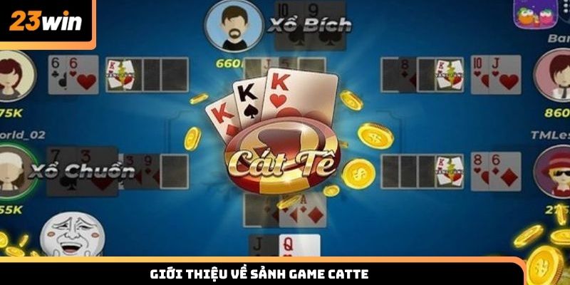 Giới thiệu Catte và đặc điểm nổi bật của trò chơi