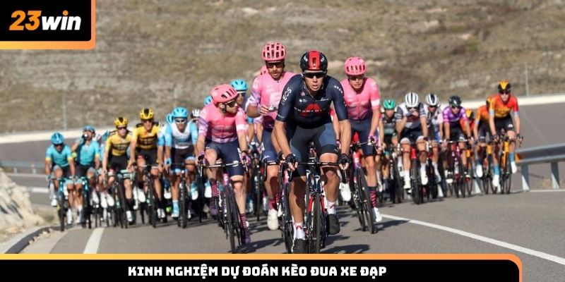 Kinh nghiệm dự đoán kèo đua xe đạp cực chuẩn cùng 23WIN
