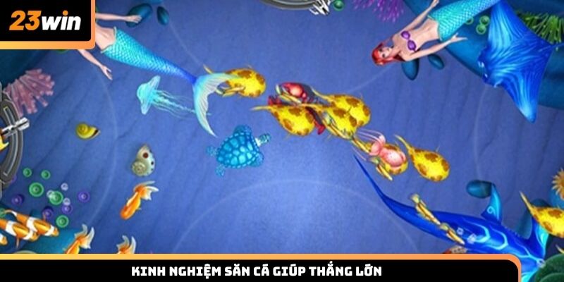 Kinh nghiệm săn cá thắng lớn cho hội viên 23win