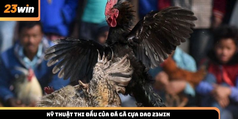 Kỹ thuật thi đấu của đá gà cựa dao 23WIN