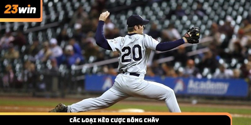 Các loại kèo cược bóng chày