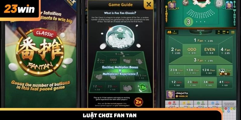 Luật chơi Fan Tan cho người mới giúp thắng lớn tại 23win