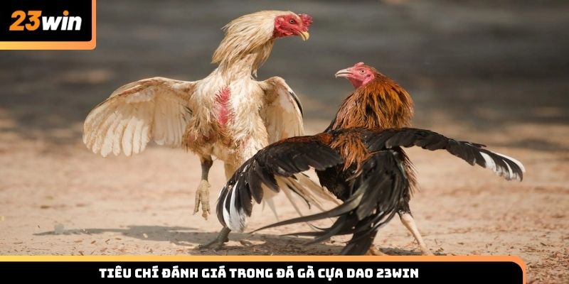 Tiêu chí đánh giá trong đá gà cựa dao 23WIN