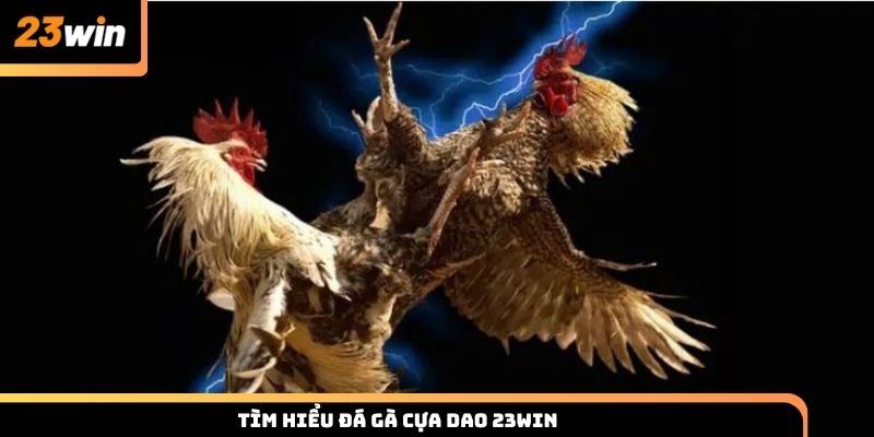 Tìm hiểu đá gà cựa dao 23WIN