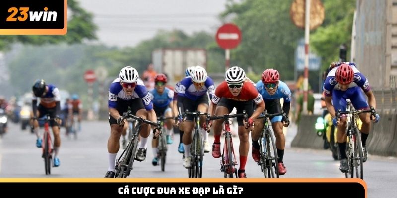 Tìm hiểu thông tin về cá cược đua xe đạp tại nhà cái 23win
