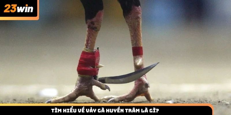 Tìm hiểu về vảy gà Huyền Trâm là gì?