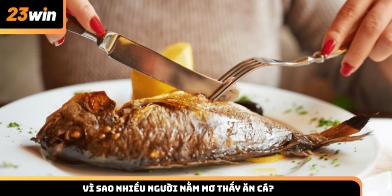 Vì sao nhiều người nằm mơ thấy ăn cá?